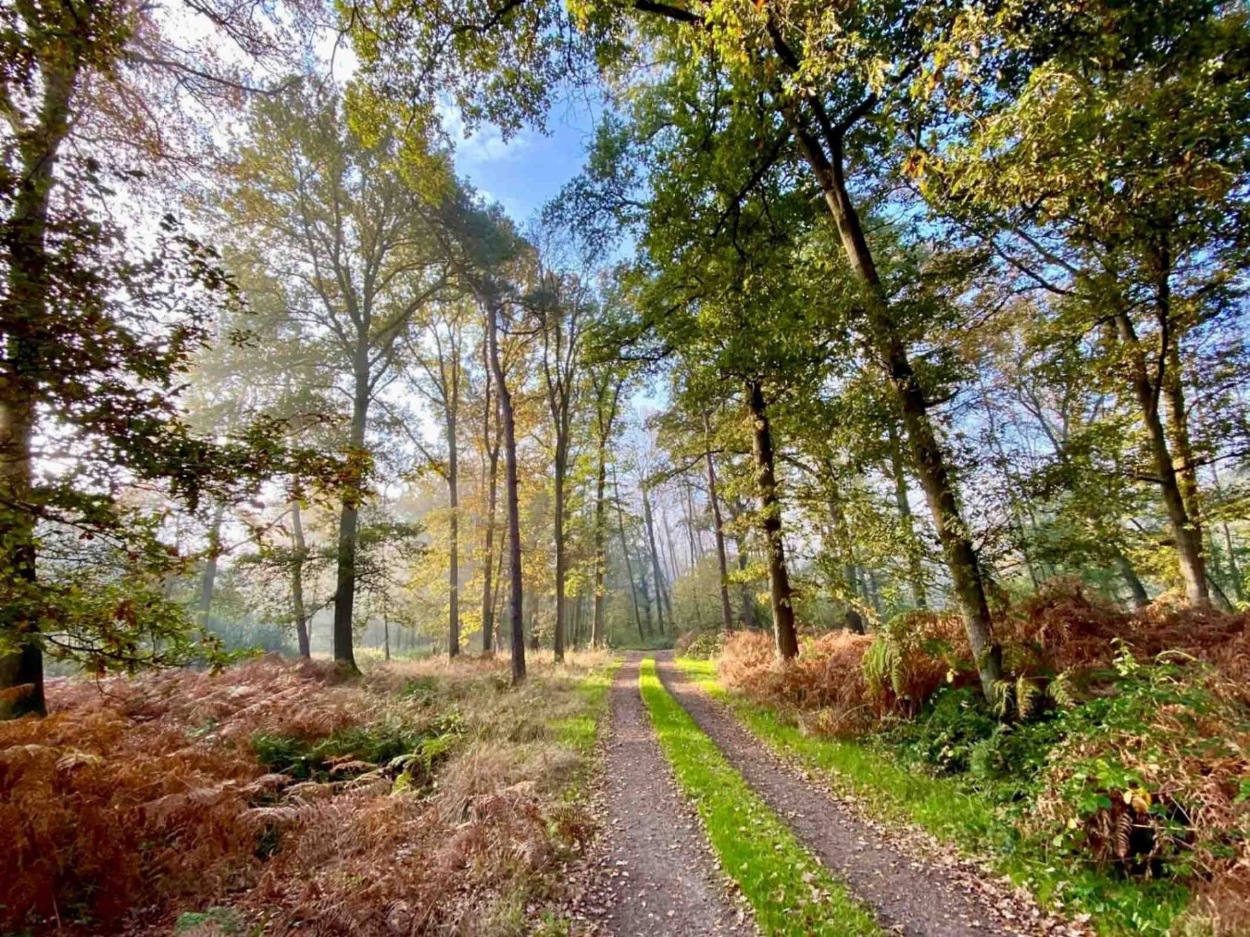 Voor-Anker-314-natuur